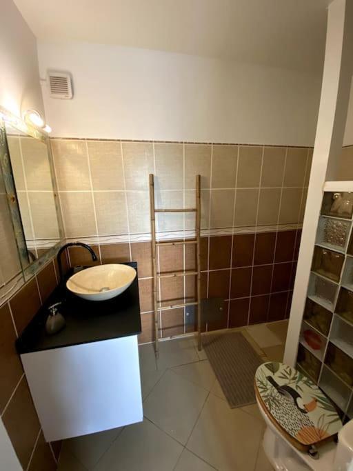 Appartement T2 - Vue Campagne Le Robert Εξωτερικό φωτογραφία
