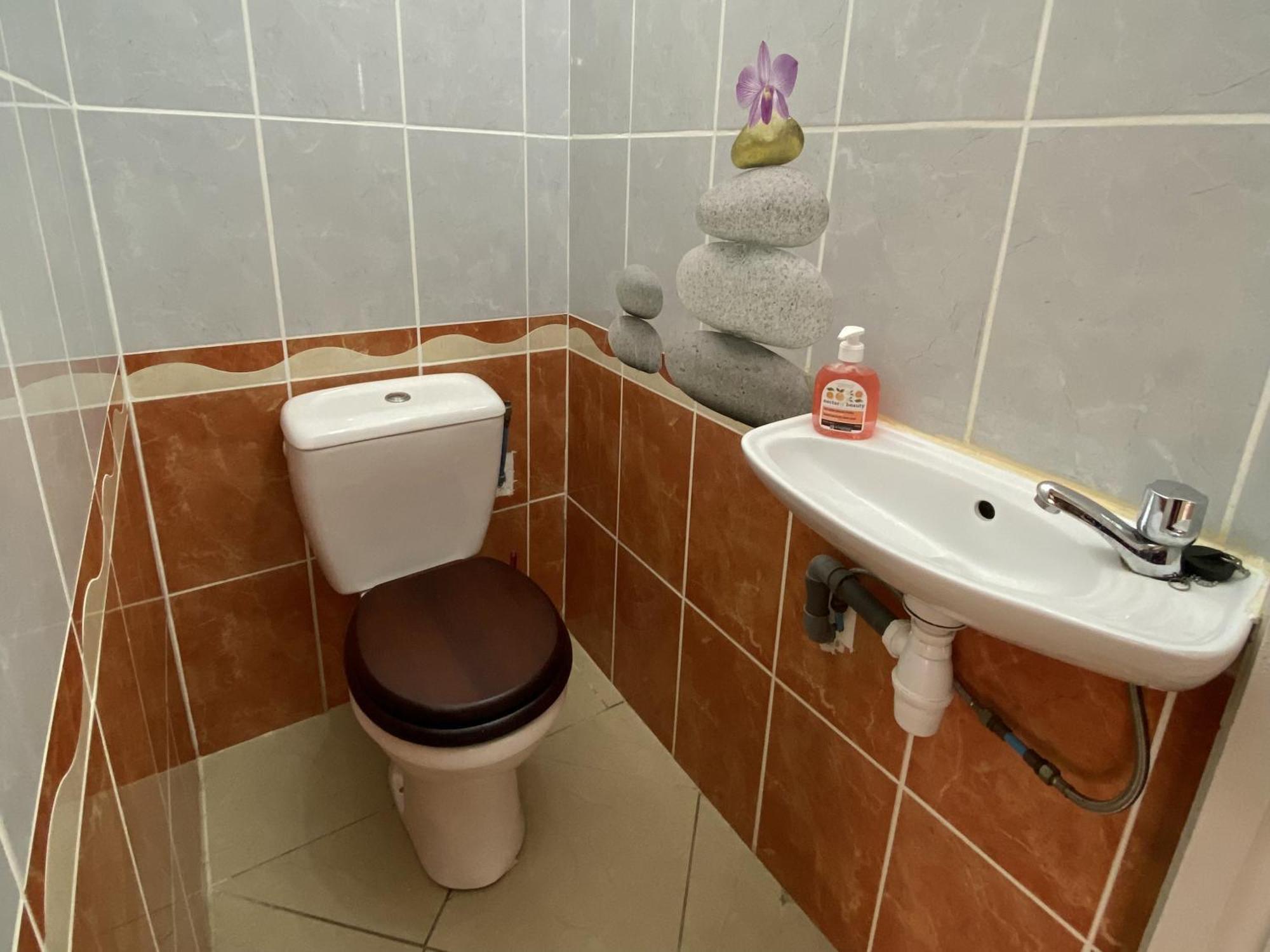 Appartement T2 - Vue Campagne Le Robert Εξωτερικό φωτογραφία